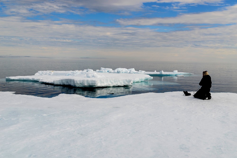 Arctic Kingdom tweet media