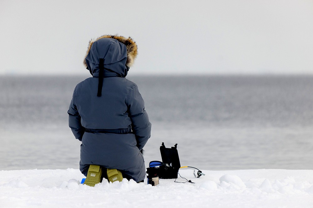 Arctic Kingdom tweet media