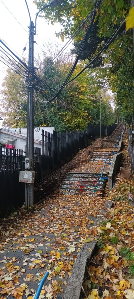 comiteseminario's tweet photo. Abandono total en Escalera de Calle Rancagua. Cerrada, sin inicio de obras desde febrero. 

@munipuertomontt https://t.co/wcWEsWfdWo