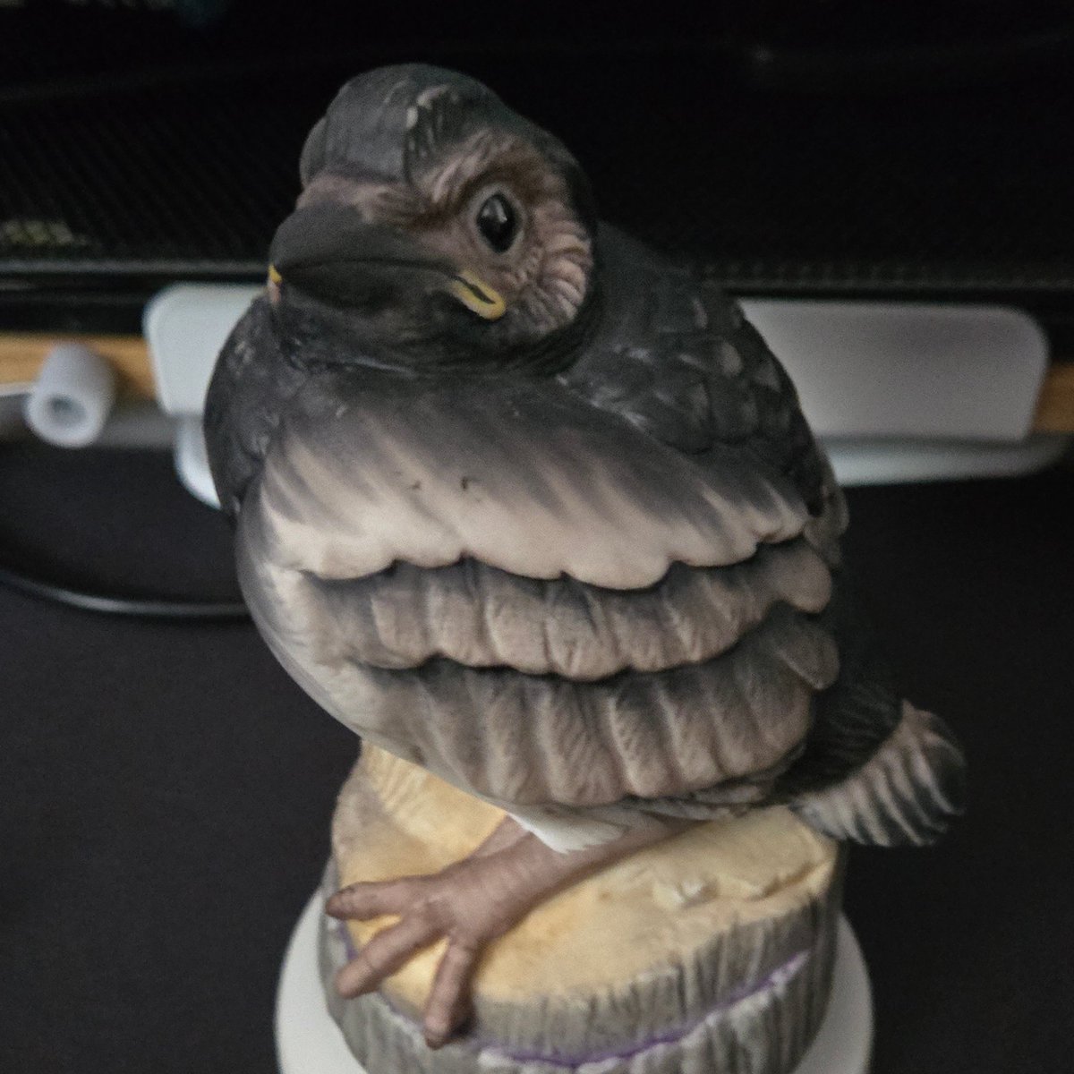 perturbed tyto (busy w college) tweet media
