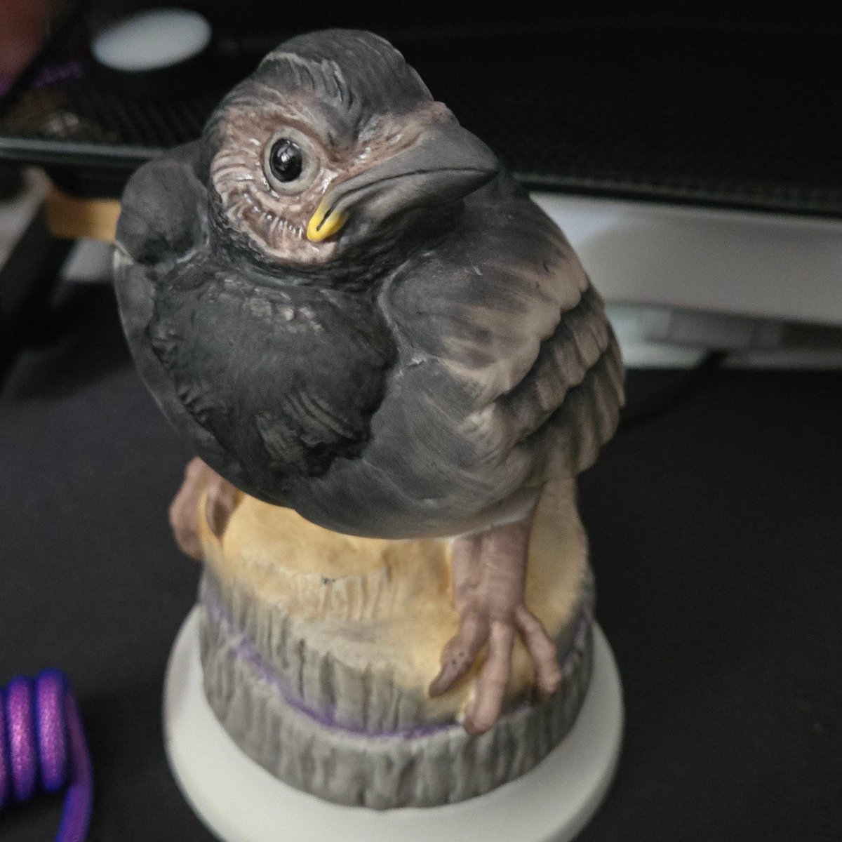 perturbed tyto (busy w college) tweet media