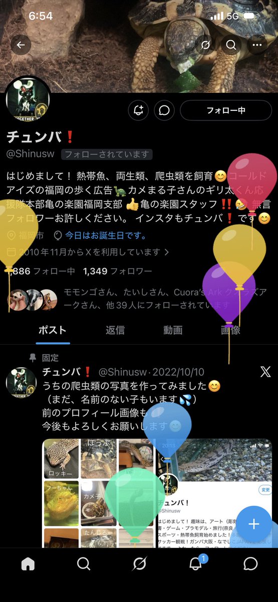 チュンバ❗️ tweet media