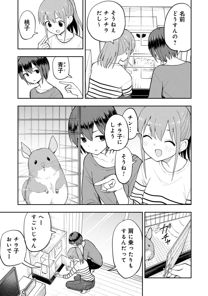 チンチラを飼う(0/2) 