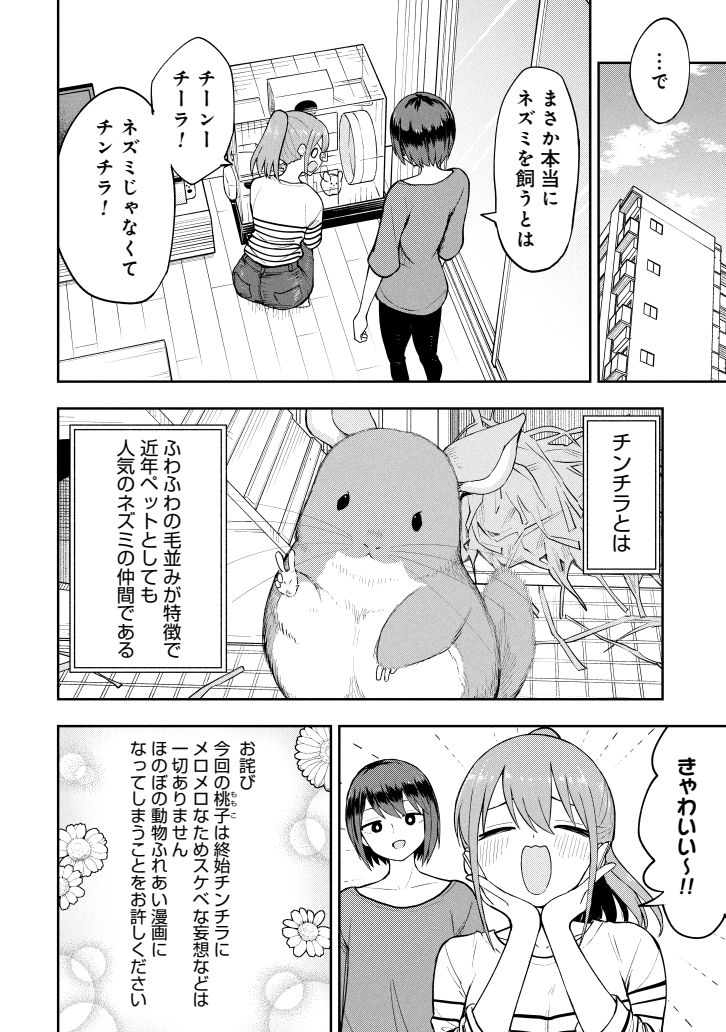 チンチラを飼う(1/2) 
