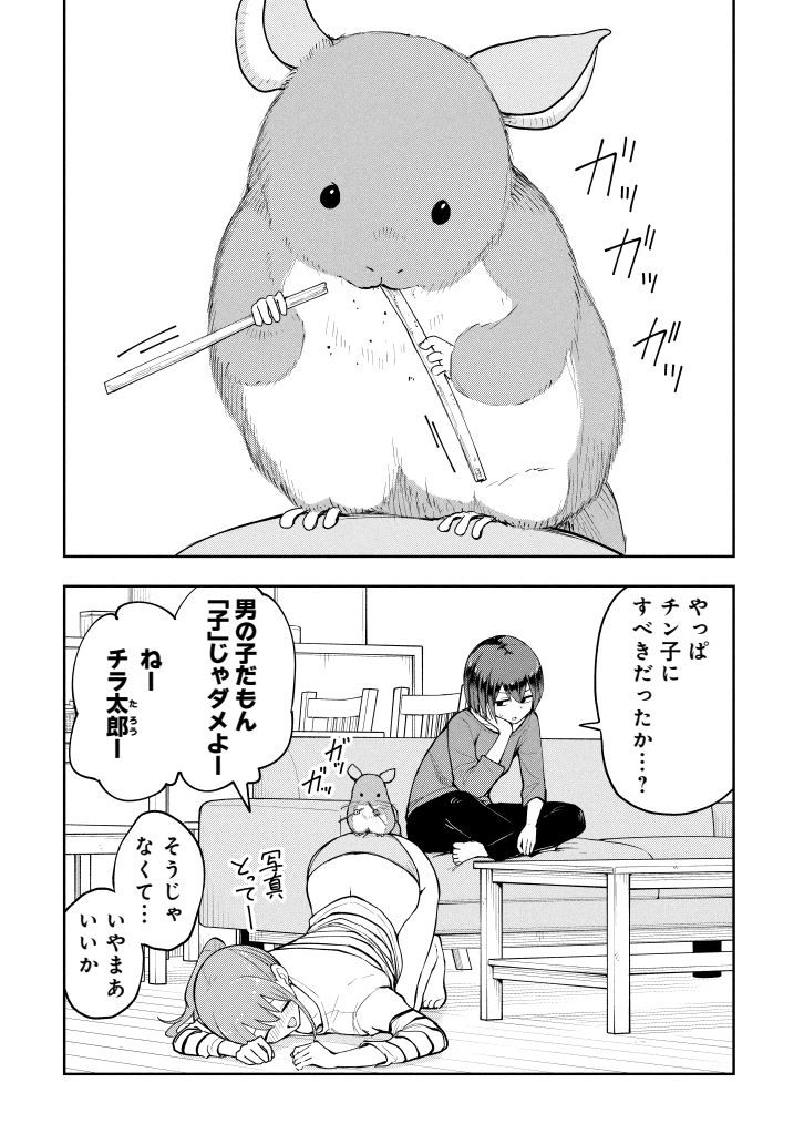 チンチラを飼う(2/2) 