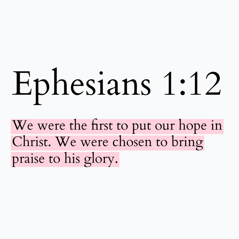 Holy Bible tweet media