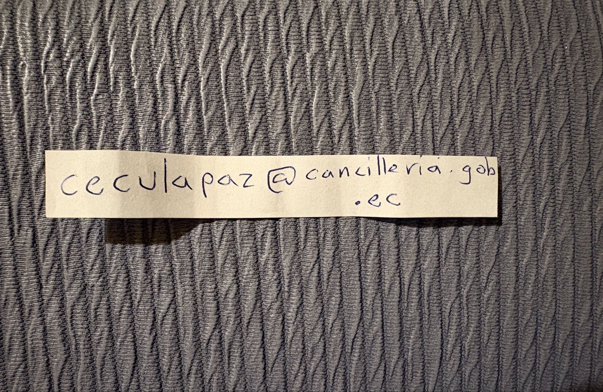 Bizcochita🍄🌱 tweet media