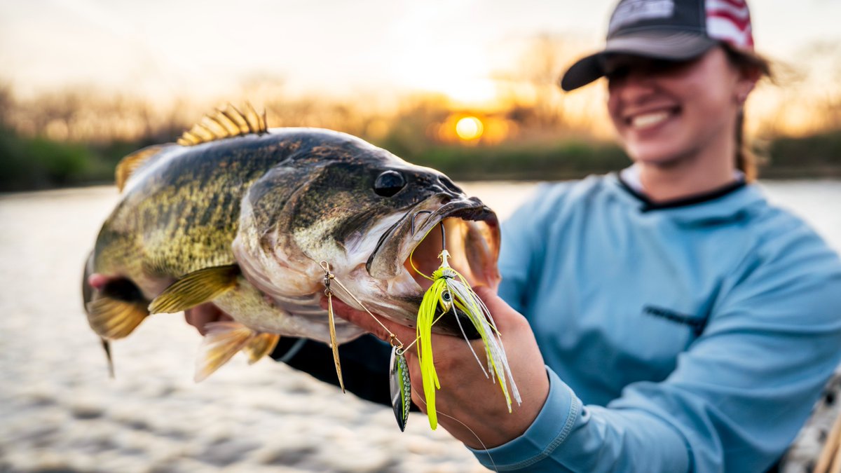 Buckeye_Lures's tweet photo. The Select Series is built for anglers who demand more from their gear. We dialed in the wire diameter and blade spacing to deliver unmatched vibration that fish can feel before they see it.

#buckeye #selectseries #spinnerbait https://t.co/rn9SkUF3Rw