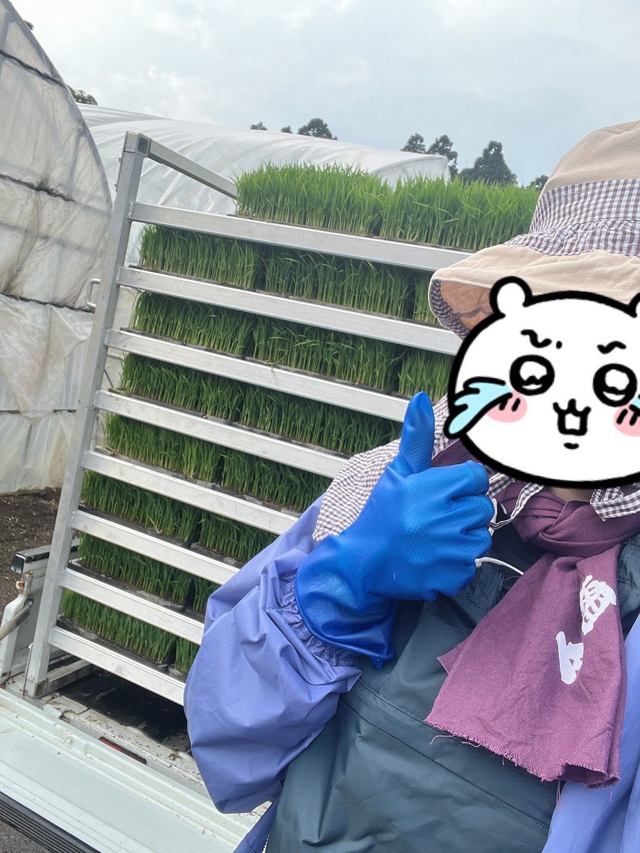 さら tweet media