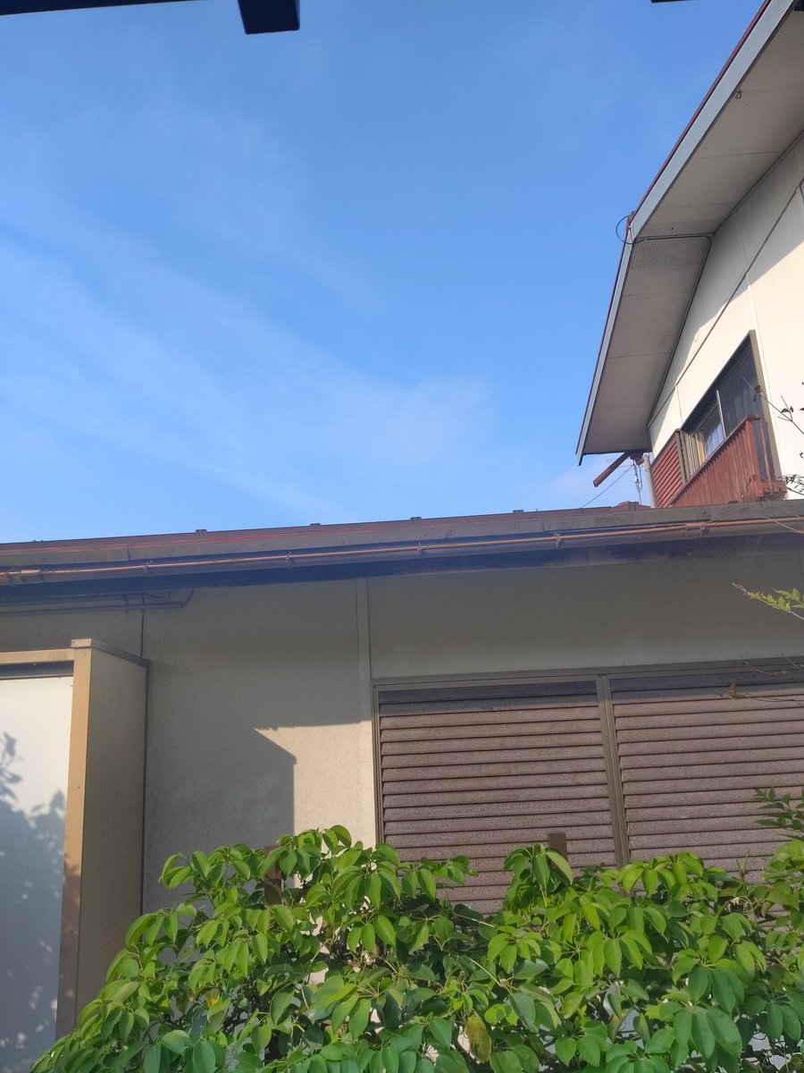 桜🌸佐和子 tweet media