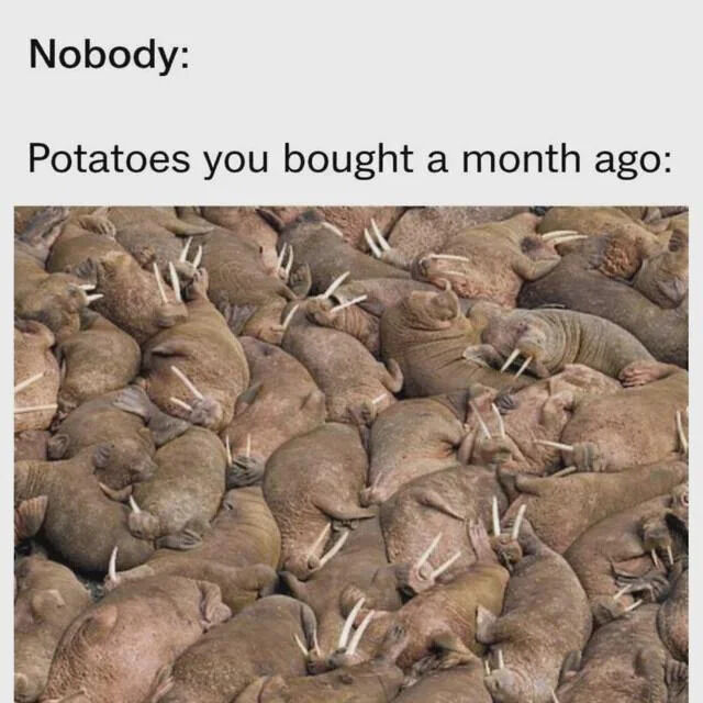 WholesomeMemes tweet media
