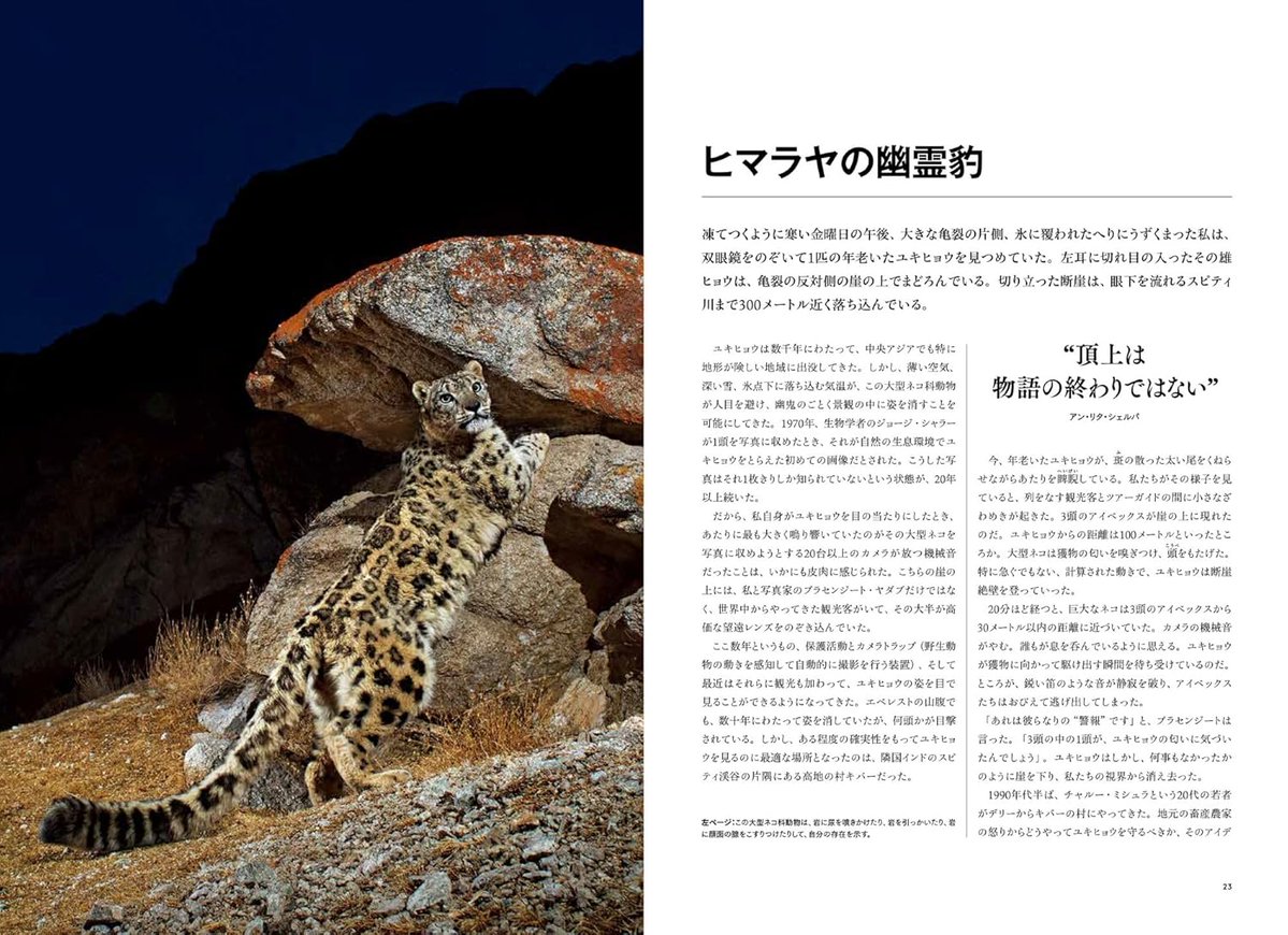 予約受付中】 『エベレスト 素晴らしき世界最高峰のすべて