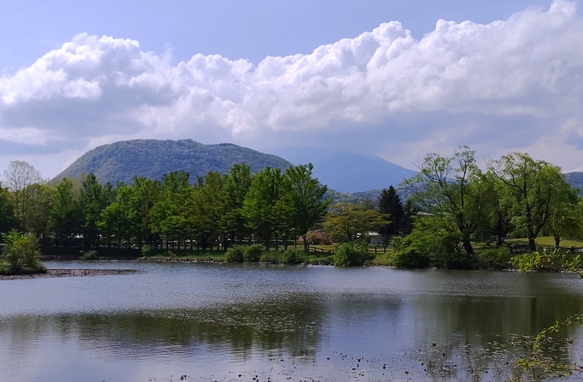 mdrigrs's tweet photo. 軽井沢への日帰り散策 (5/12)
雲場池と白糸の滝を訪ねた

サトザクラ(関山？)やヒメリンゴの咲く矢ヶ崎公園も居心地が良く、上信越自動車道から眺める妙義山も素晴らしかった https://t.co/J2QyR70ZaY