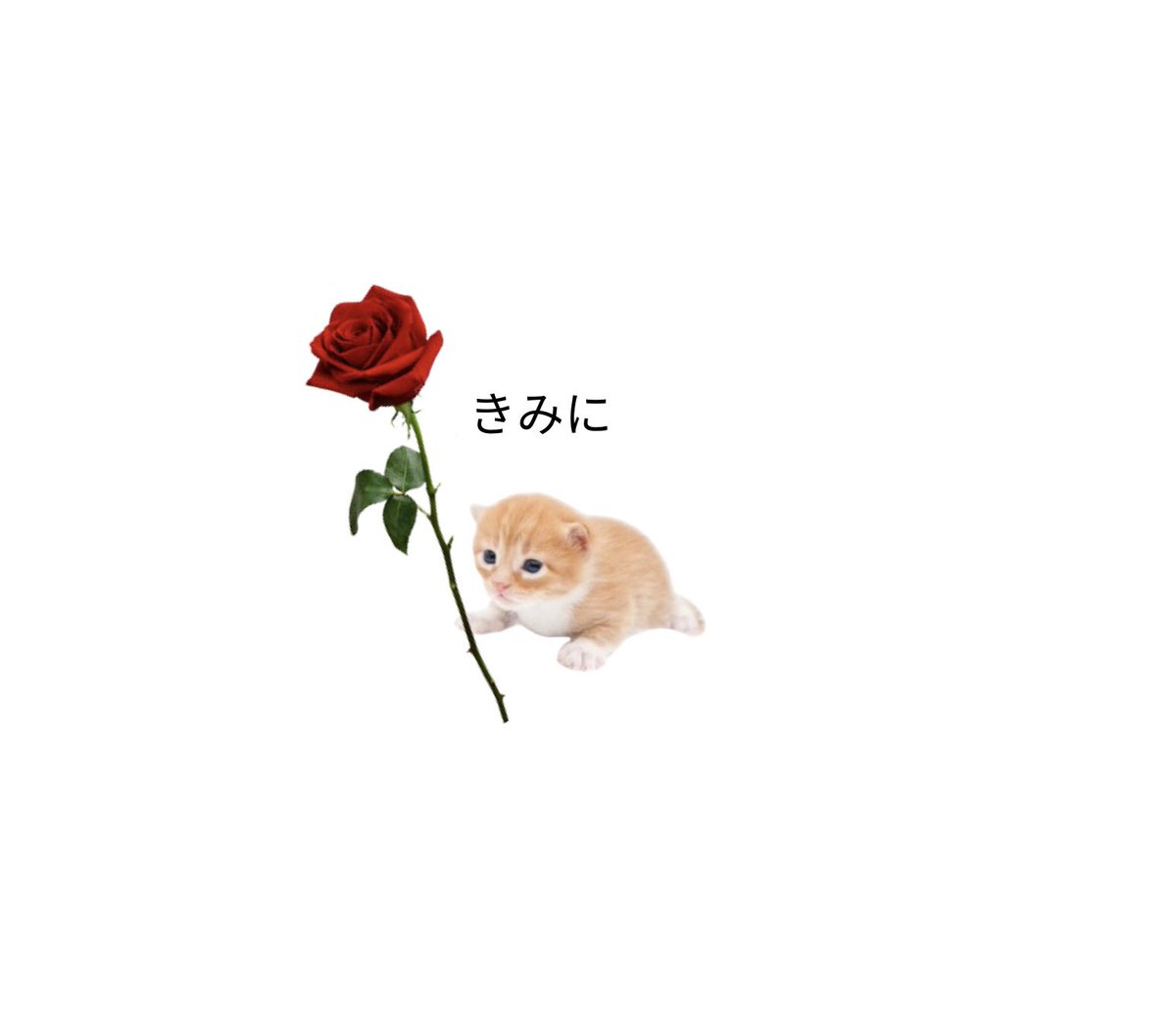ゲイリー tweet media