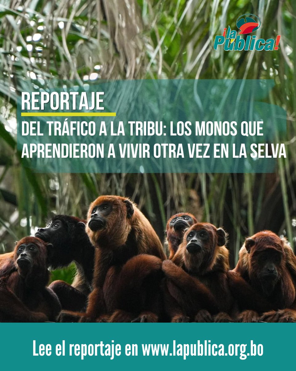 La Pública BO tweet media