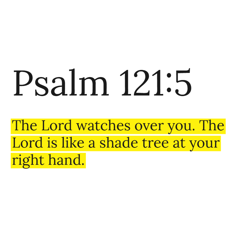 Holy Bible tweet media