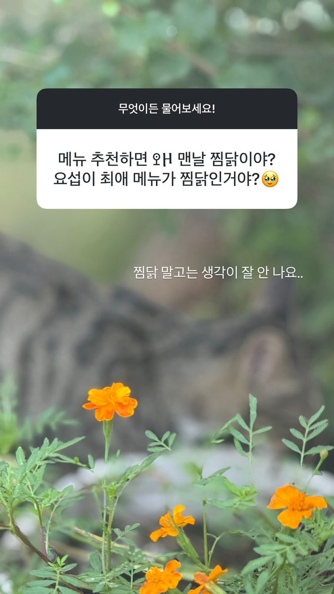 꾸몽 tweet media
