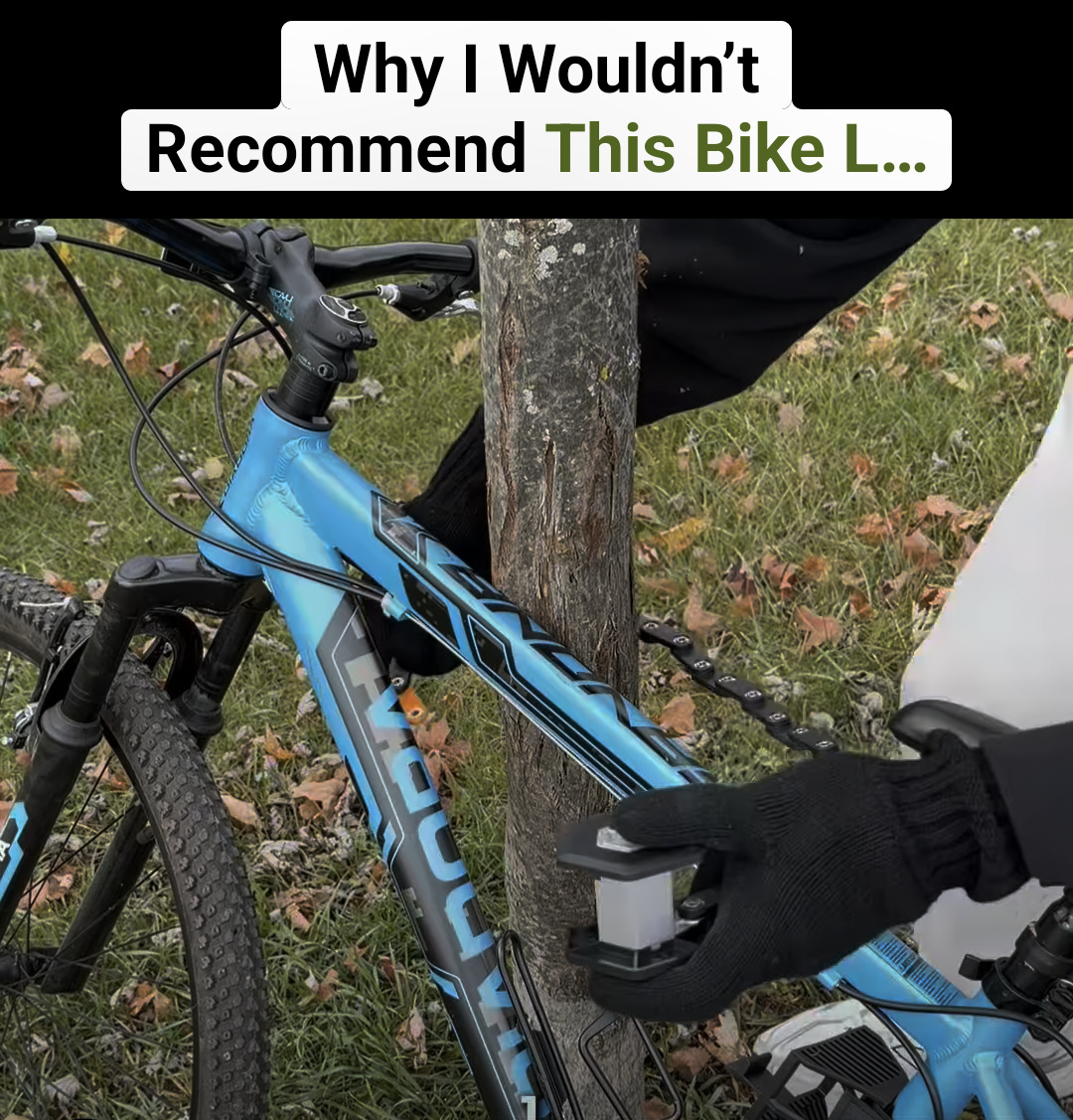 robrrt's tweet photo. I do recommend this bike lock. That sapling only needs a few strokes from my ax. https://t.co/P9rB4pjY1v