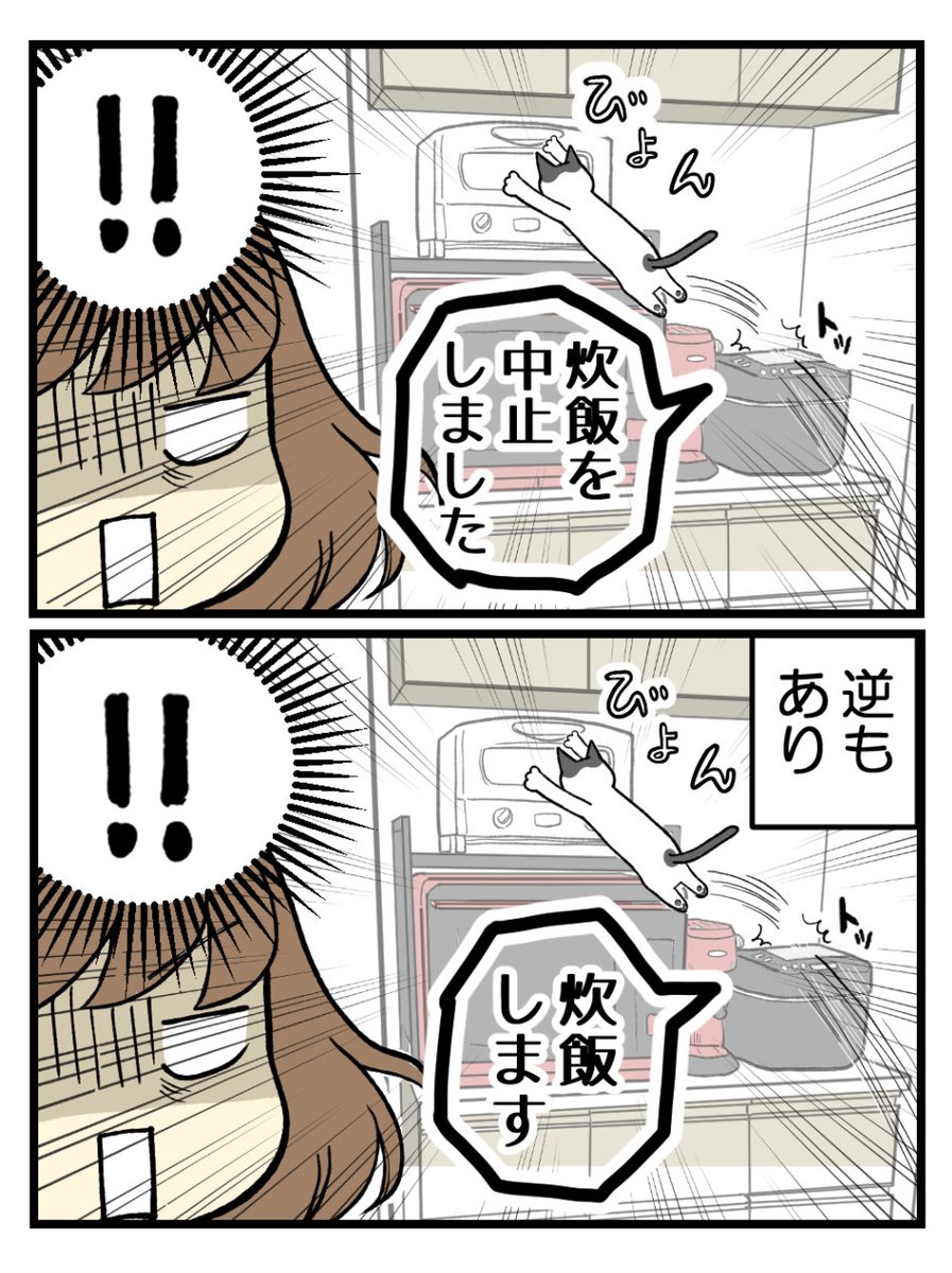 koume_umihara's tweet photo. （2/2） https://t.co/Q94vxXLQYw