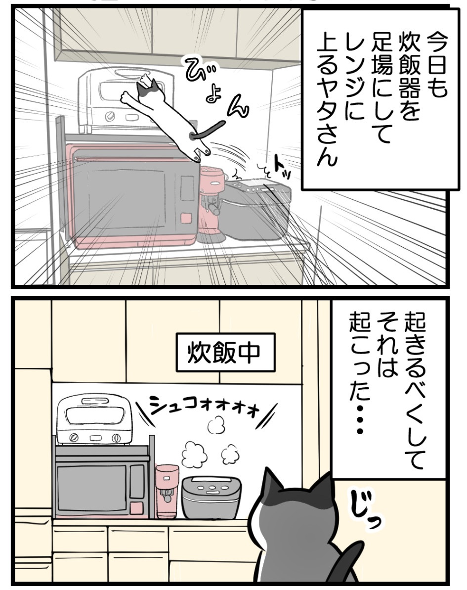 ご飯が炊けなかった理由(1/2) 