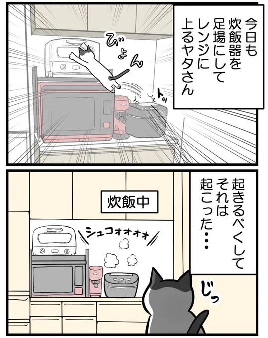 ご飯が炊けなかった理由(1/2) 