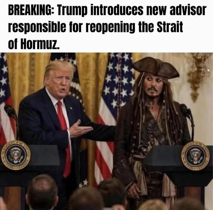 curt tweet media