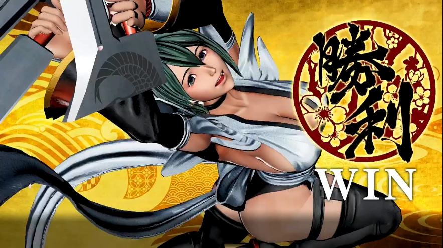 Fighting Game Anniversaries tweet media