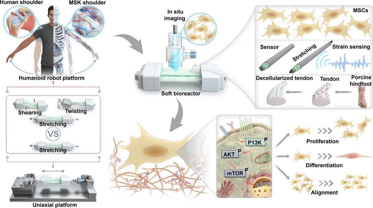 Cyborg and Bionic Systems Journal tweet media