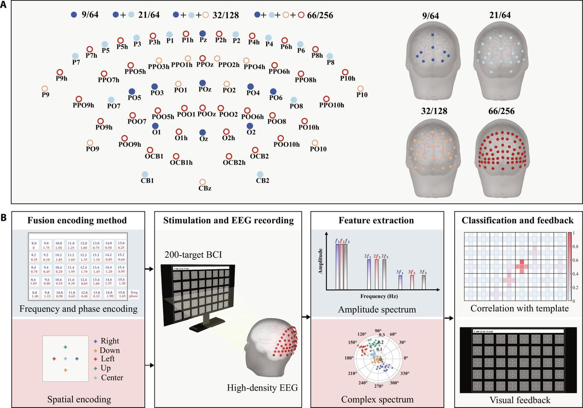 Cyborg and Bionic Systems Journal tweet media