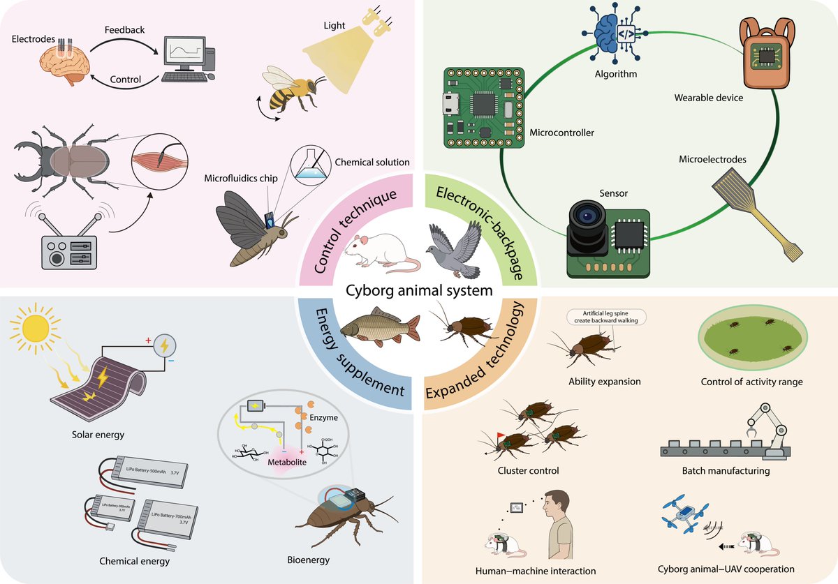 Cyborg and Bionic Systems Journal tweet media
