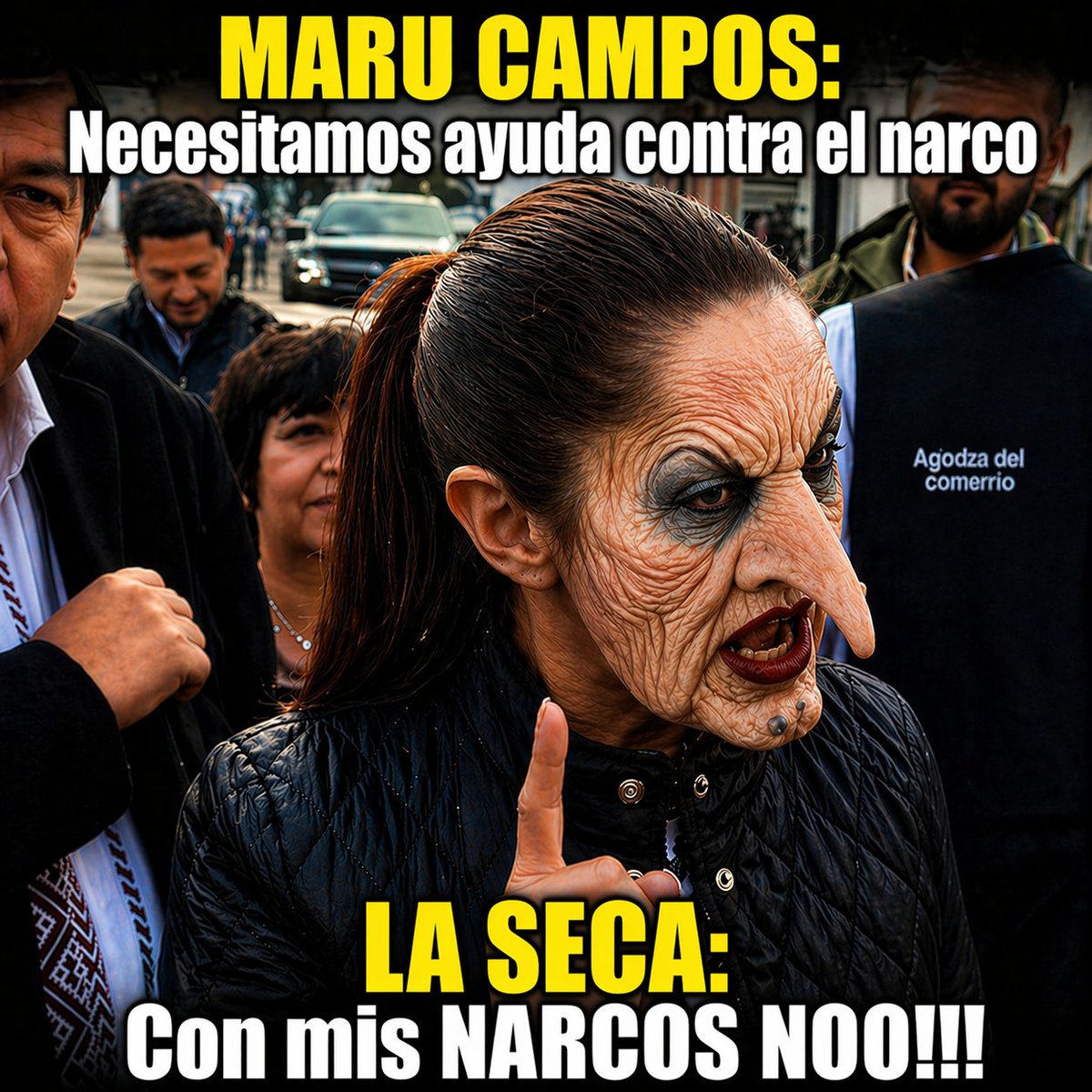 El amparo improcedente tweet media