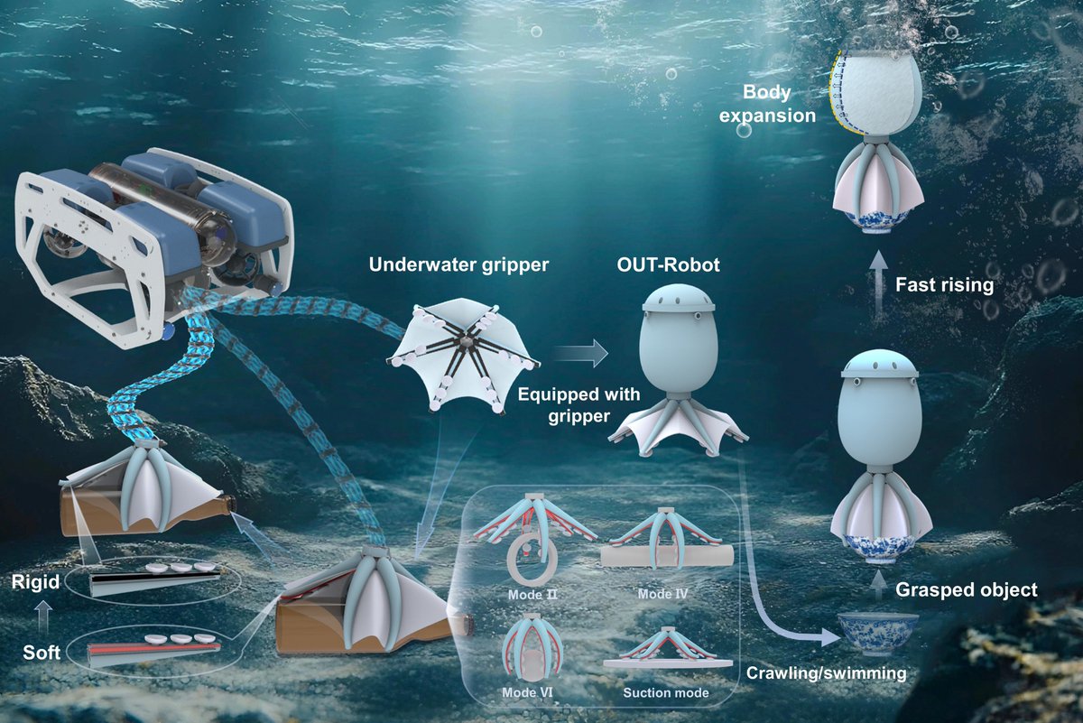 Cyborg and Bionic Systems Journal tweet media