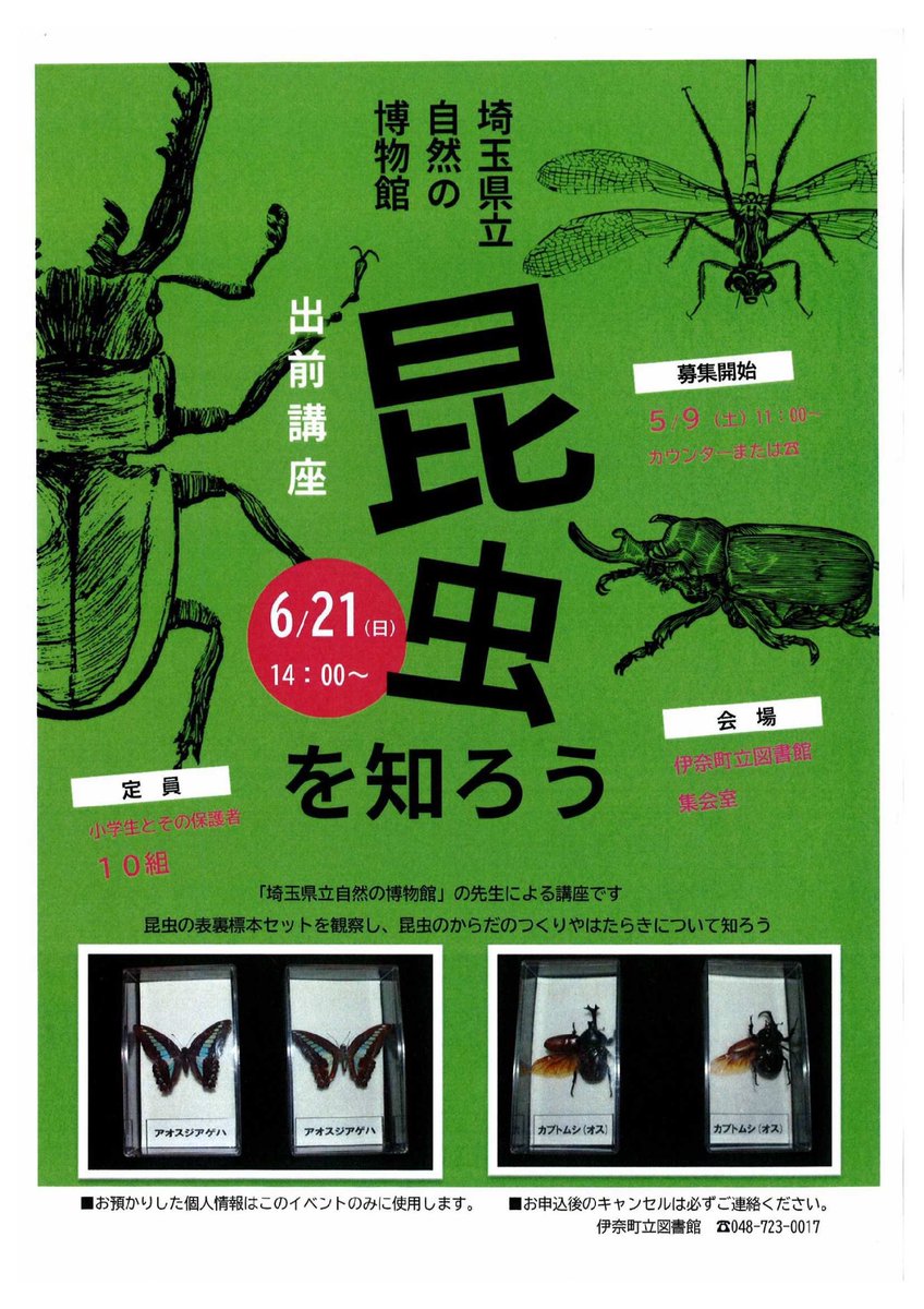 埼玉県立自然の博物館 出前講座「昆虫を知ろう」】 「埼玉県立自然の