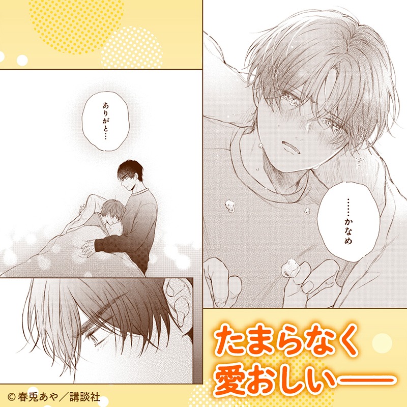 honeymilk_BL's tweet photo. 真面目な��まわりさんが拾ったのは、いろんな男と一夜を過ごす家なし捨て猫系男子だった…‼