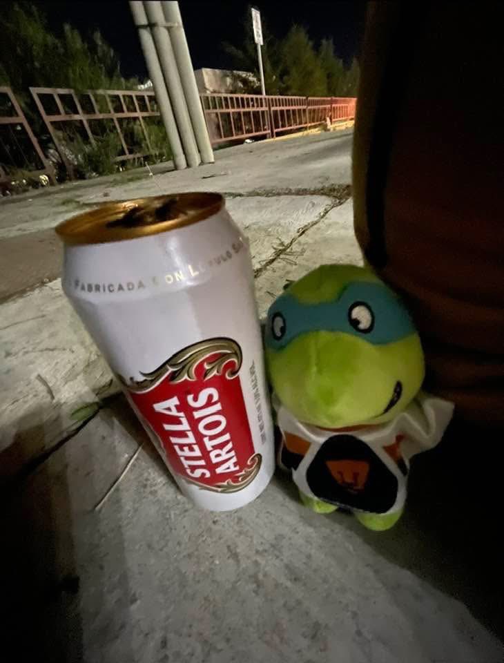 Madame_Alien's tweet photo. Los viajes, pumas, las tortugas ninja y las stella me gustan mucho 🫰🫰🫰 https://t.co/o28j47xn08
