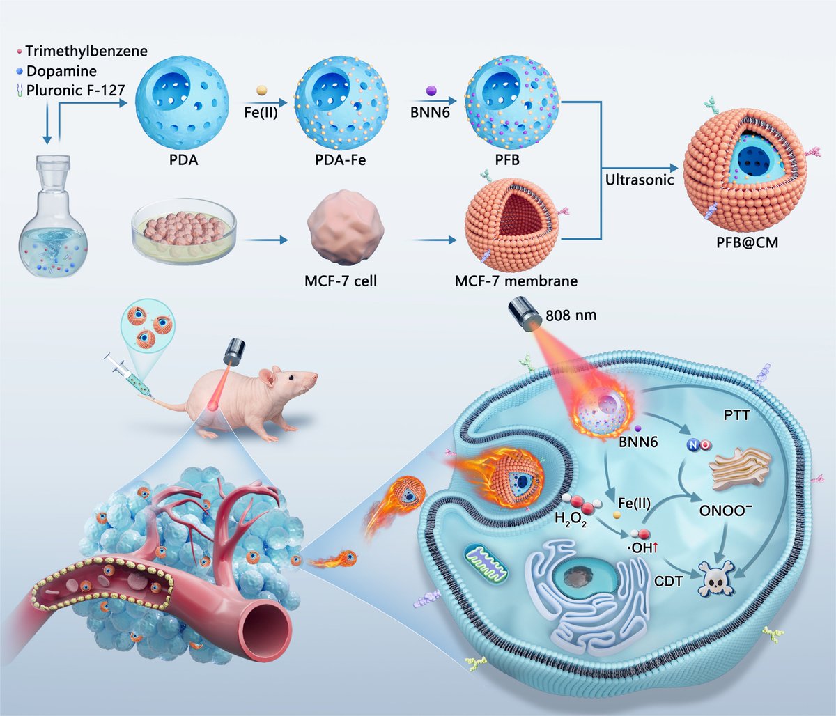 Cyborg and Bionic Systems Journal tweet media