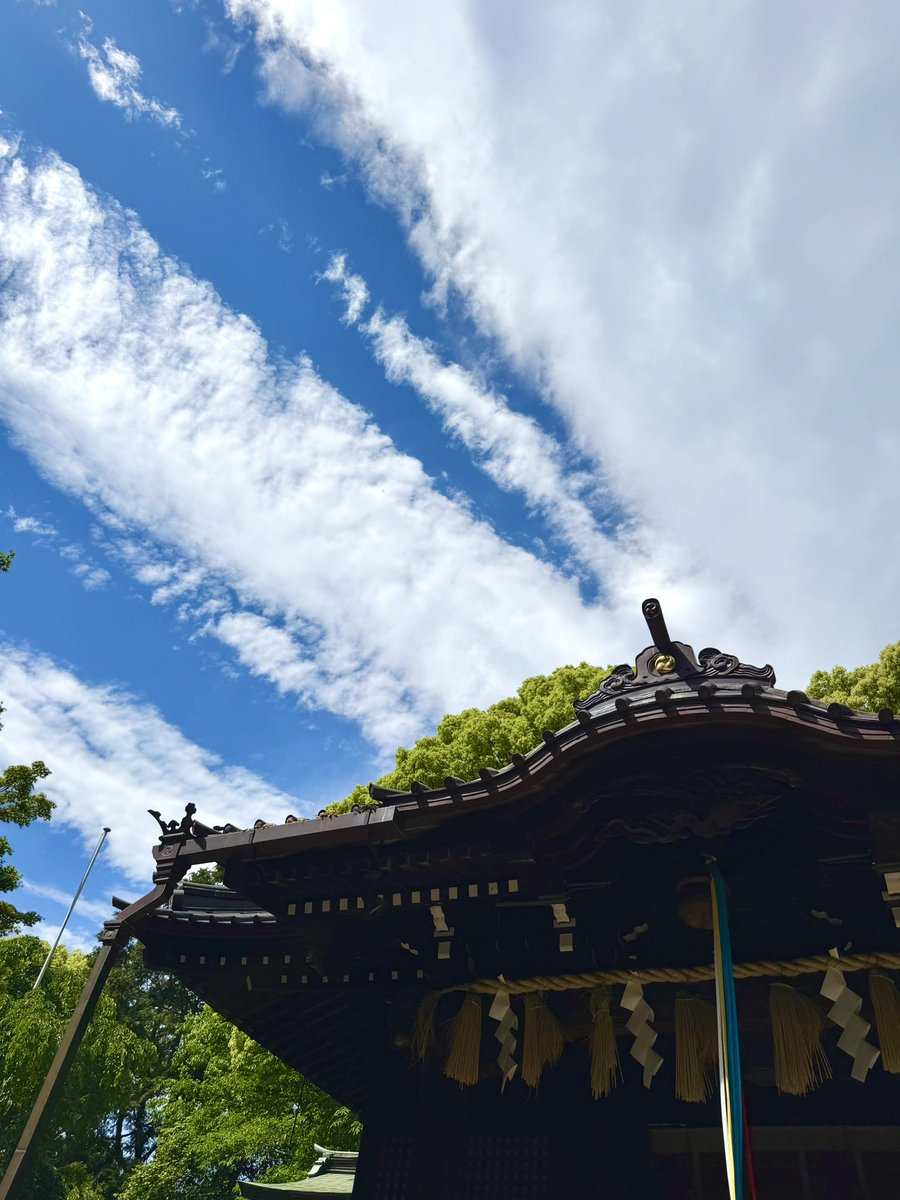 _unimaru_3's tweet photo. 木漏れ日🌳にパワーを感じる日。

お洒落なカフェもたくさんあって、
都内の避暑地みたいな場所。

代々木八幡、好き。 https://t.co/dZZXfe5PU9