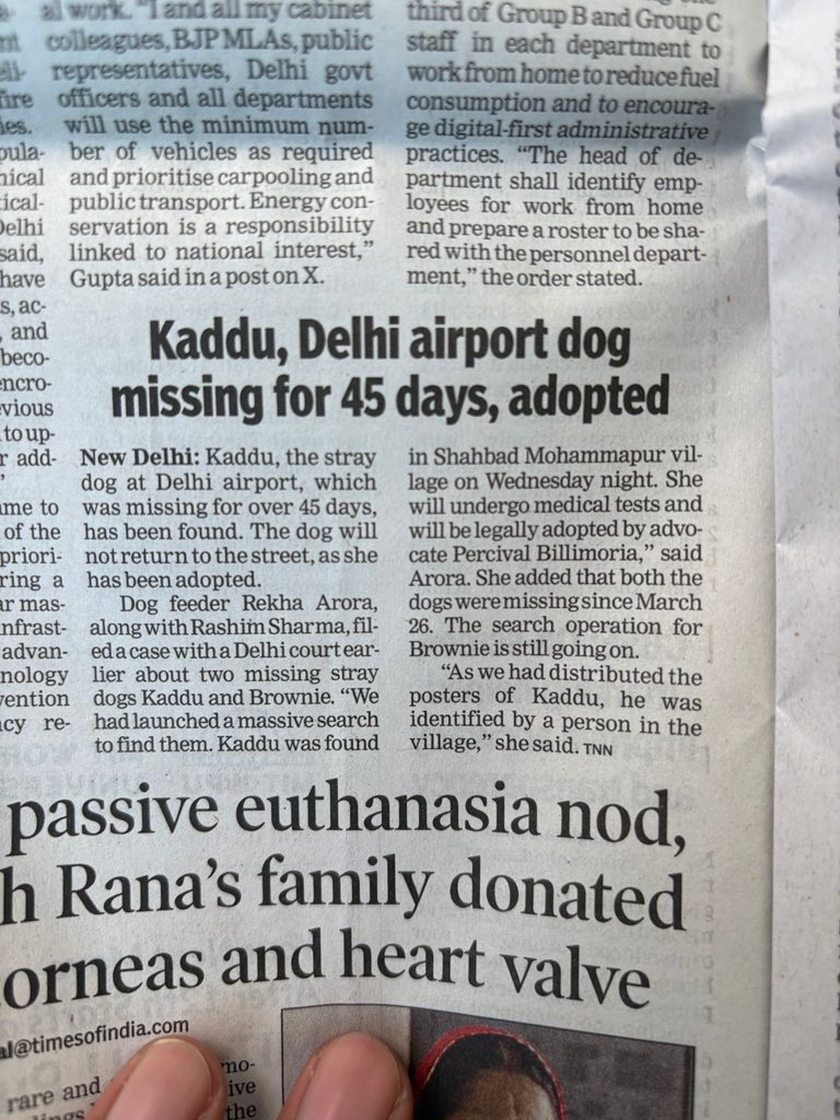 Ishita Roy tweet media