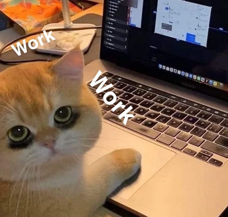Alanaa (✱,✱) tweet media