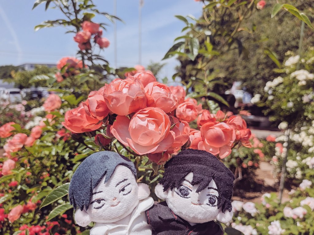 練馬偵察の偵察 tweet media