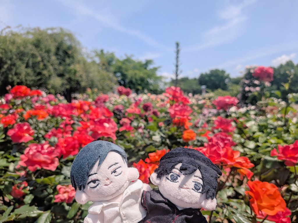練馬偵察の偵察 tweet media
