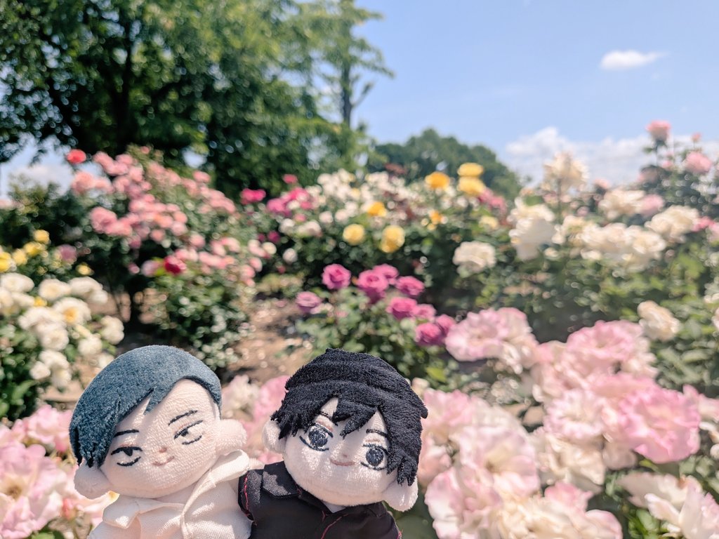 練馬偵察の偵察 tweet media