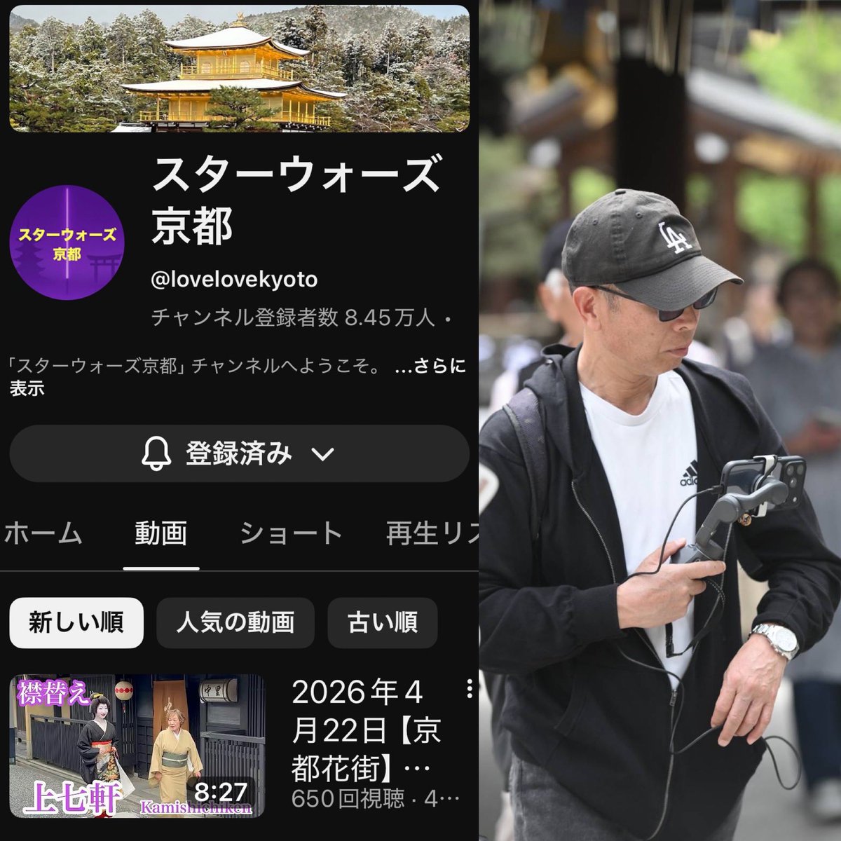 遊色効果 tweet media