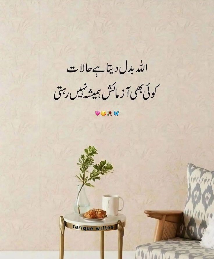 Muhib tweet media