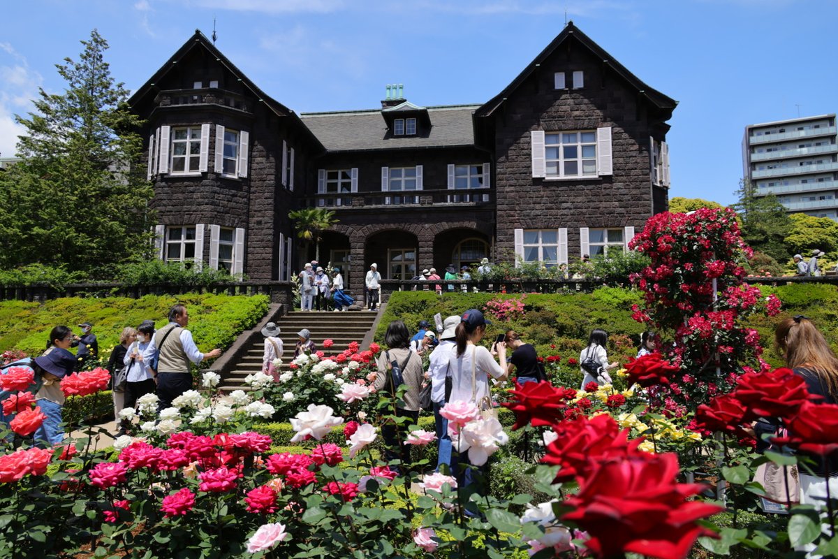 igatti315's tweet photo. 5/12.旧古河庭園
今庭園の薔薇が見頃です🌹✨ https://t.co/bbMSsKPhG1