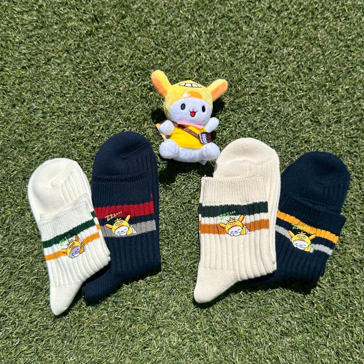 5月22日(金)より発売開始 はねぴょんコラボソックスの続報📣 靴下の