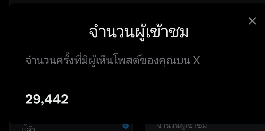 TULIP. 15 🌷 tweet media