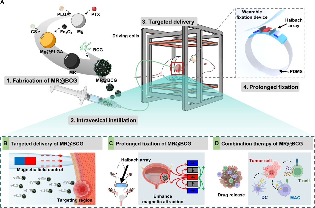 Cyborg and Bionic Systems Journal tweet media