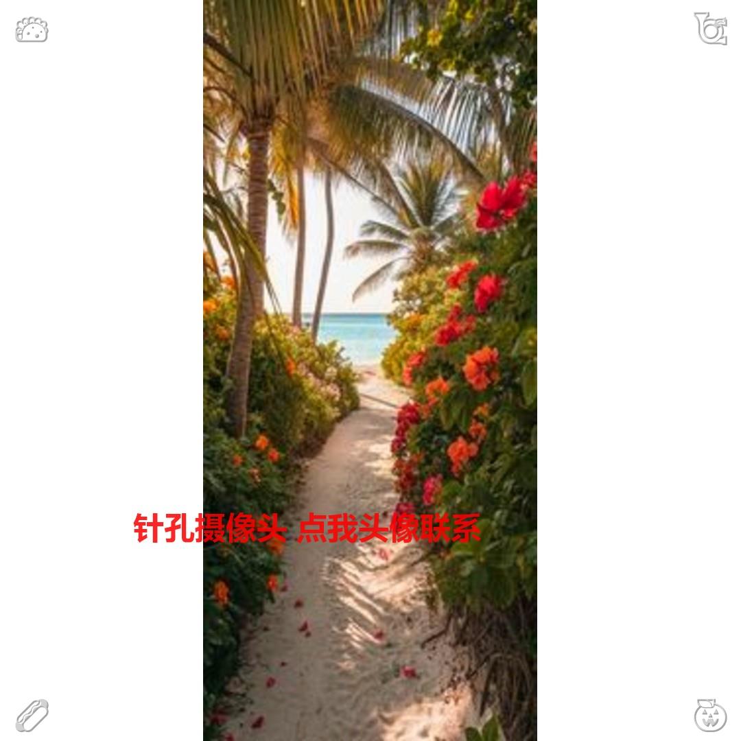 Danny Hall tweet media