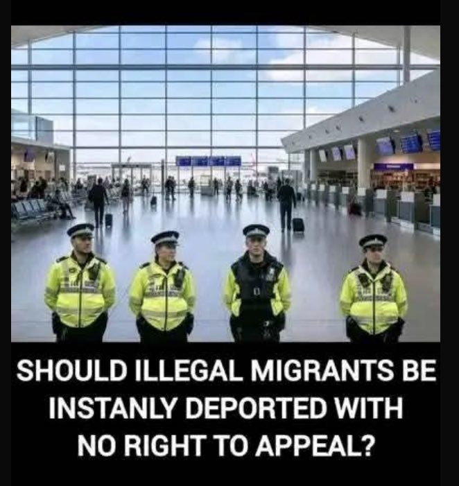 N Ecc 🏴🏴🏴 tweet media